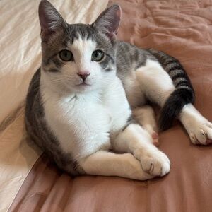 Spring Cleaning Weekend… stay tune for listings 🎉